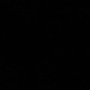 Meet your Posher, Gabrielle